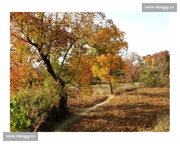 小寒时节万物潜藏冬意正浓人间烟火温情在岁末悄然流转